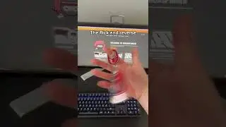 NinjaSpinner basics tutorial🚨