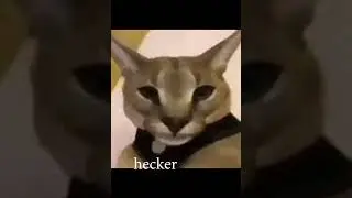 hecker