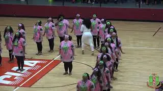 The Gamma Nu Chapter Of Alpha Kappa Alpha New Memebership Presentation 2019