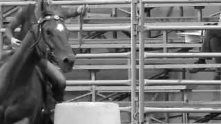 This is Barrel Racing 2