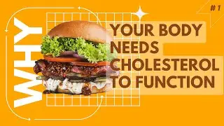 Cholesterol Explained: Why Your Body Needs LDL & HDL to Survive | Dr. Ferghal Armstrong & MedHeads