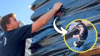 Couple Hear Meow For Help From Inside Shrink Wrapped Pallet