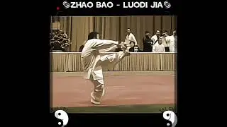 Zhao Bao Tai Chi Chuan with very low frame