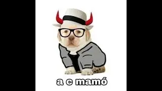 &iexcl;HAYYYY LOOOLOO!!