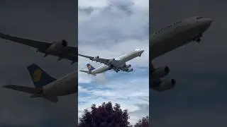 Lufthansa🇩🇪 A340 Takeoff In Seattle #mustsee #aviation #frankfurt