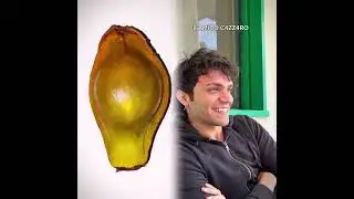 Claudio Bisio se guardasse questo video 👁️👄👁️