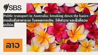 Public transport in Australia: breaking down the basics - ການຂົນສົ່ງສາທາຣະນະ ໃນອອສເຕຣເລັຍ:...