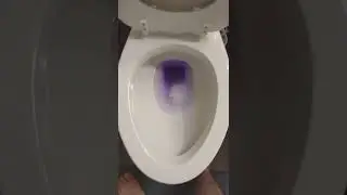 Niagara Conservation Toilet flushing Lavender Water!