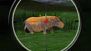 wild Animals Hunting Shooting Game
