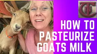 How to Pasteurize goats milk