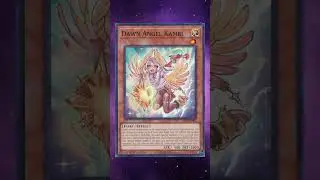 Can Dawn Angel Kambi Fix Purrely?  #yugioh #yugiohcommunity #yugiohcard #yugiohtcg