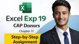 MS Excel Experiment 19 | Chapter 11 | CAP Donors | Complete Assignment