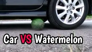 Exeperiment | Car VS Watermelon