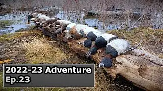CHASING BIG WATER DUCKS || LIMITED OUT || Duck Hunting Season 2022-2023