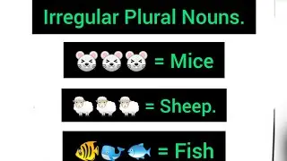 How to use Irregular Nouns || How to form Irregular Plural Nouns || Common Mistakes.