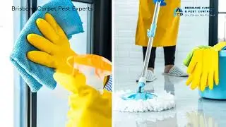 Introduction video for the Brisbane Carpet & Pest Experts.