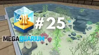 A UNIQUE PERSPECTIVE - Megaquarium (#25)