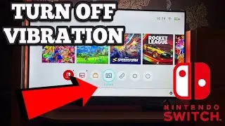 How To Turn Off Vibration On Nintendo Switch