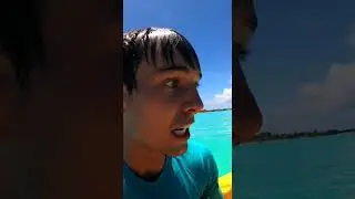 Kayak Gets Body Slammed by Ocean's Biggest Bully #shark