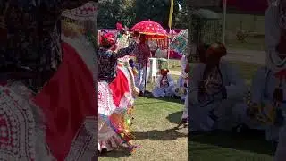 Mini Rose Festival Chandigarh Punjab University #2023