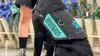Training heart rate alert / service dog