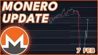 ВОССТАНОВЛЕНИЕ XMR?🚨 | ПРОГНОЗ ЦЕНЫ MONERO (XMR) И НОВОСТИ 2024!