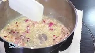 SALSA ROBERT