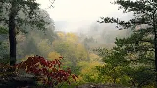 2018-10-28 Conkle's Hollow Ridge Trail, Hocking Hills, OH