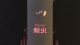 【悲報】家に大量のうじ虫が湧いてしまいました&hellip;#shorts