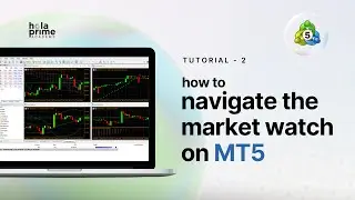 How to Navigate the Market Watch on MT5 | Hola Prime