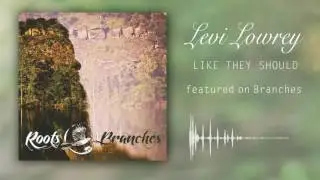 Levi Lowrey - Like They Should (Official Audio)