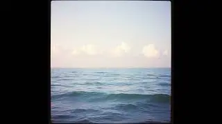 【いぬ専用セラピー音楽】1月15日わん｜Therapeutic music for dogs