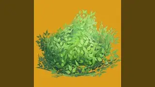 Bush Camping