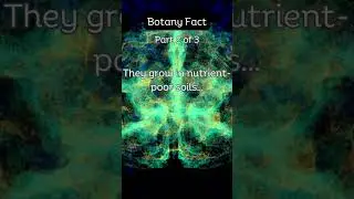 Carnivorous plants' diet secret! #shorts #botanyfacts #subscribe