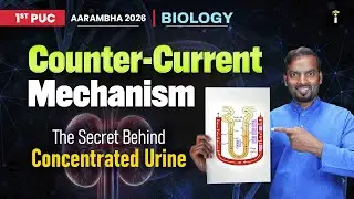 Counter-Current Mechanism Explained! The Secret Behind Concentrated Urine | 1st PUC Biology