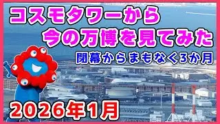 【アフター万博】閉幕から3カ月、解体工事が進む万博会場跡地の今を咲洲コスモタワーから、ミャクちゃんと見てみた😱 #大阪万博 #expo #ミャクミャク #アフ活 #お正月 #閉幕 #解体工事 #リアル