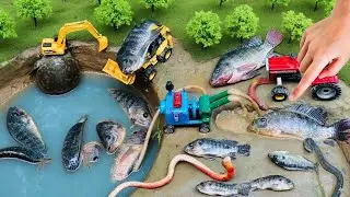 catch fish using mini water pump | fishing exciting | diy tractor ‪@Mini Fish Creator