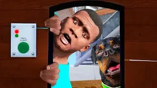 Секретная кнопка Чопа в GTA 5