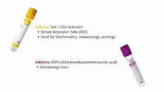 Right sample Right Container#vet #pethealth #veterinarylab #animalclinic #petcare #samplecollection