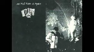 The Shanes featuring Katrin Achinger - Love will tear us apart
