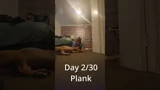 Women is attack by dog whilst exercising #challenge #fitness #workout #shorts #exercise #day2 #plank