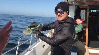 Pillar point, Half Moon bay fishing.