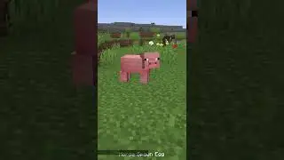 New Minecraft Update 1.22 😮