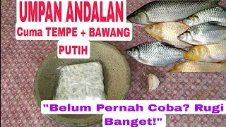 Cara bikin umpan Mancing Tempe & Bawang Putih, Cocok Buat Mancing di Sungai & Kolam!
