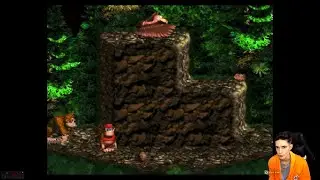 Donkey Kong Country 1994 (Le difficolt&agrave; non mancano) (2) / Super Nintendo Entertainment System