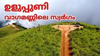 വാഗമണ്&zwj; ഉളുപ്പുണിയുടെ ആകാശകാഴ്ചകള്&zwj; | Uluppuni Vagamon tourist places | Drone shots