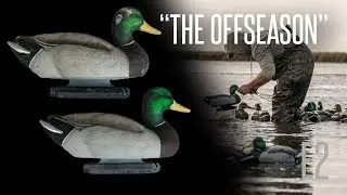 Make Your Duck Decoys Look Like New Again: 