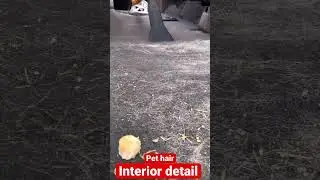 Pet hair removal interior detail: #mobiledetailing#617#508 #supremeclienteleautocare#boston #analan