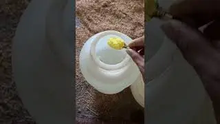 First day of chick at our farm/Welcome to new chicks at farm
