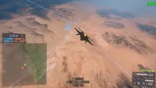 AiM Montage